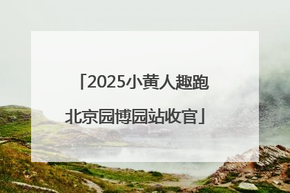 2025小黄人趣跑北京园博园站收官