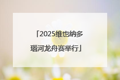 2025维也纳多瑙河龙舟赛举行