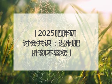 2025肥胖研讨会共识：遏制肥胖刻不容缓