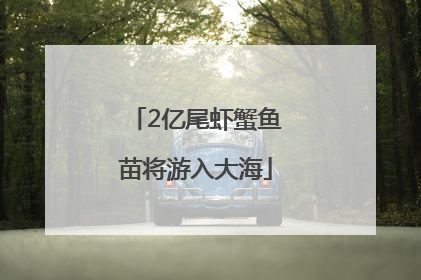 2亿尾虾蟹鱼苗将游入大海