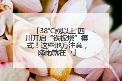 38℃或以上 四川开启“铁板烧”模式！这些地方注意，降雨就在→