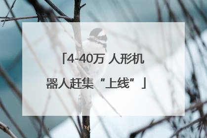 4-40万 人形机器人赶集“上线”