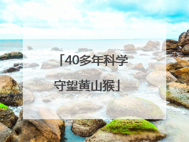 40多年科学守望黄山猴