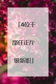 4位干部任正厅级新职