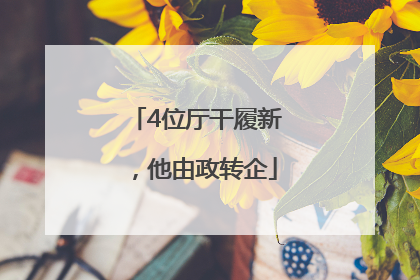 4位厅干履新，他由政转企