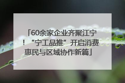 60余家企业齐聚江宁！“宁工品推”开启消费惠民与区域协作新篇