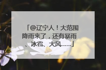 @辽宁人！大范围降雨来了，还有暴雨、冰雹、大风……