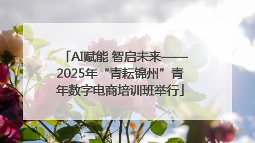 AI赋能 智启未来——2025年“青耘锦州”青年数字电商培训班举行