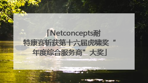 Netconcepts耐特康赛斩获第十六届虎啸奖“年度综合服务商”大奖